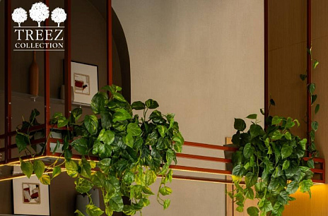 Растения и интерьер. Принципы подбора и взаимодействия