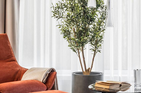 Контраст и баланс в фитодизайне