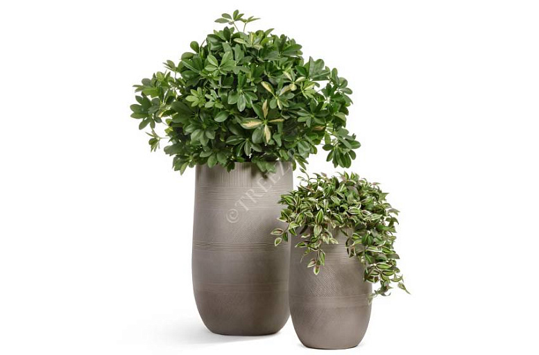 Кашпо TREEZ ERGO Graphics: детали, которые создают настроение