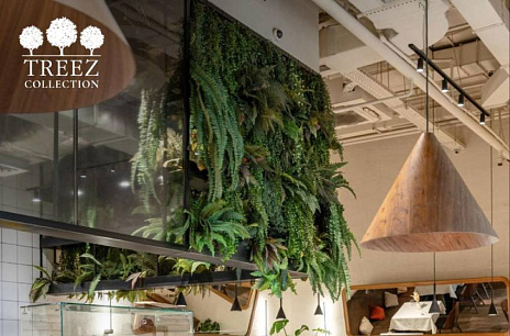 Атмосферное озеленение больших пространств от TREEZ