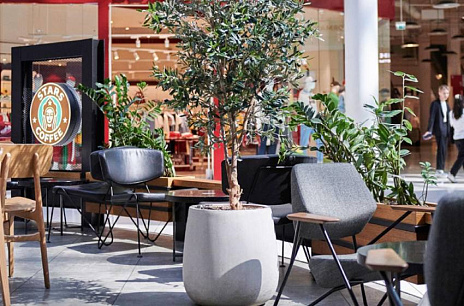 Точки фокуса: как растения формируют интерьер