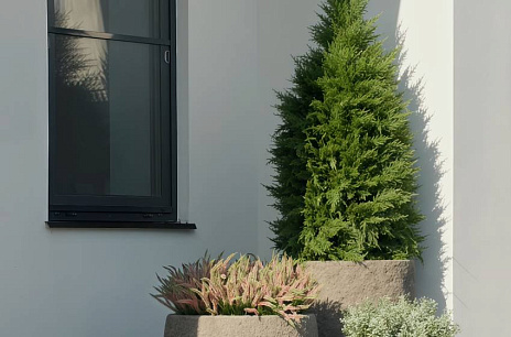 Искусственный кипарис: яркий акцент уличного озеленения